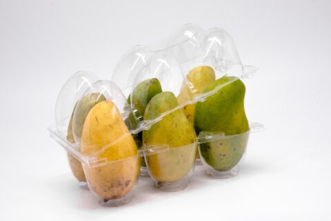 6 Ct Mango Clamshell